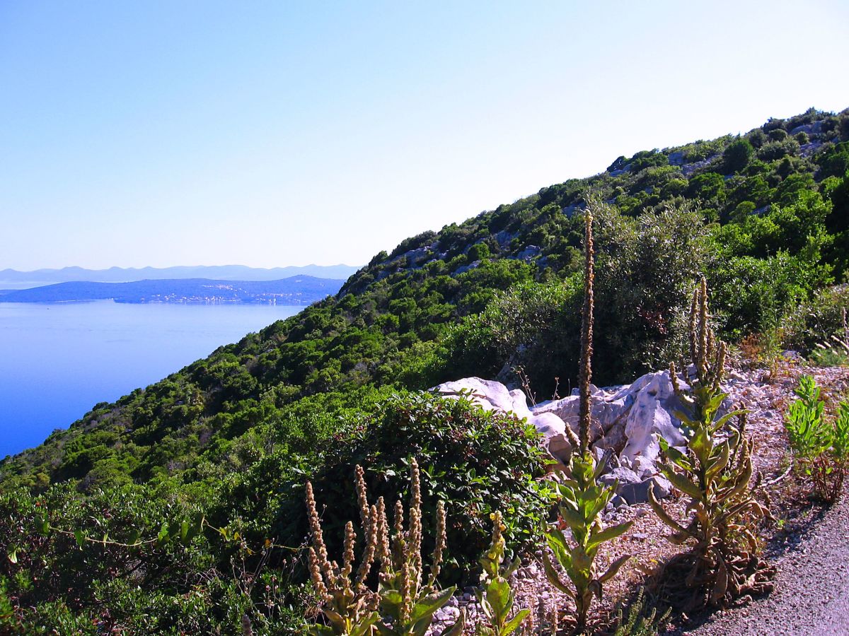 View from island Ugljan,n near Zadar, Croatia