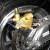 X18 Super Pocket Bike Rear Wheel X18 Super Pocket Bike Rear Wheel