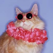 StarbuckJr profile image