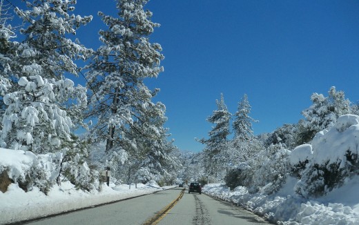 Driving up the Mountain can be scary, yet beautiful! Don't be decieved... this road may look straight, but it is very narrow and swervy!
