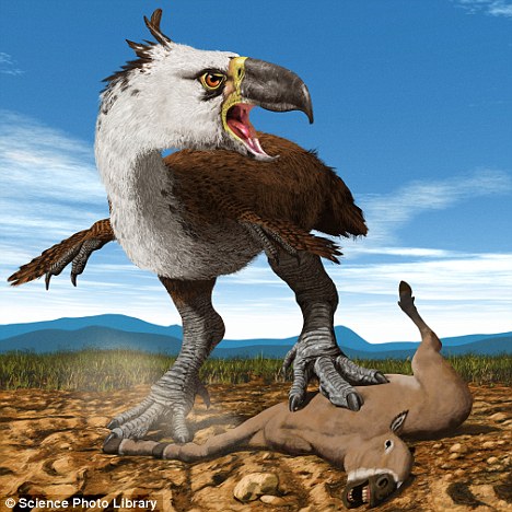 Terror Bird Feeding on Medium-sized Mammal