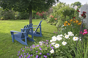 A Small area along the perimeter of a fence or side of your home, is all that is needed to set aside an area for a wildlife garden that will attract birds for many enjoyable years to come.