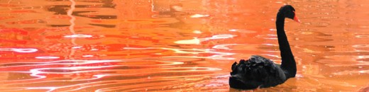 ...Sepia River...