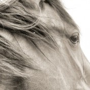 Vendla profile image