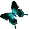 La Papillon profile image