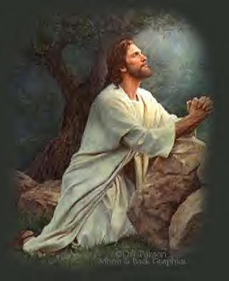 Jesus http://s4.hubimg.com/u/4720099_100.jpgprayed in Gethsamane