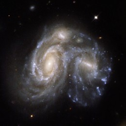 https://usercontent1.hubstatic.com/4722534_f260.jpg