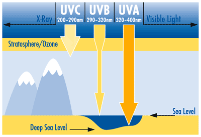 The three types of UV light