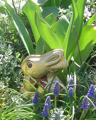 Easter bunny hidden in the gardens. This picture features on one of our Easter cards. You could hide cards in your Easter Egg Hunt.