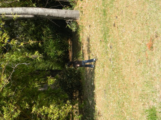 Going for a hike!