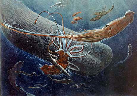 As depicted by this artist rendition. A lone Sperm Whale engages in battle with two giant Squid deep below the oceans surface