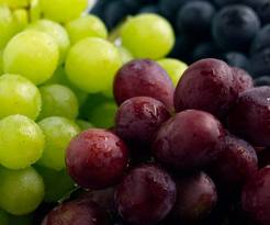 healthy grapes