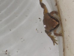 http://s1.hubimg.com/u/4754552_f248.jpg