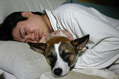 Wonderful as they are, snuggling up with your pet is not conducive to good sleep ... for either of you.