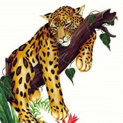 tatmania profile image