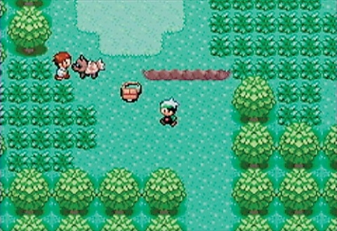 This is a screenshot from Pokmon Emerald. This is the prelude to the first battle of the game.