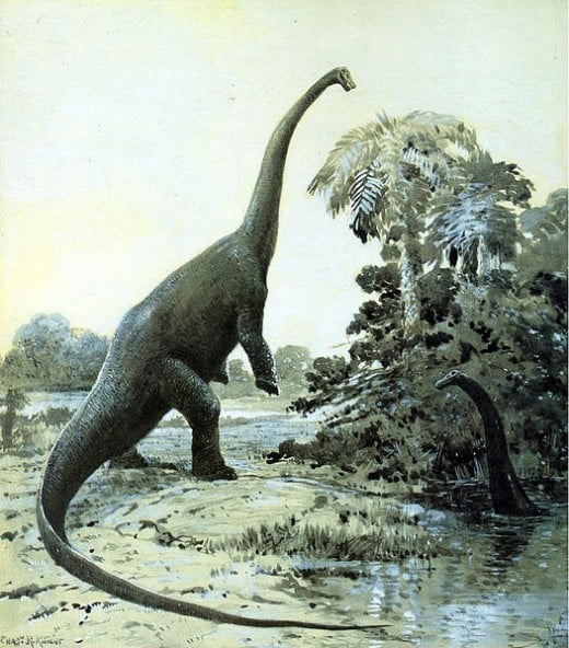 Diplodocus Dinosaur rearing in a painting by Charles Knight