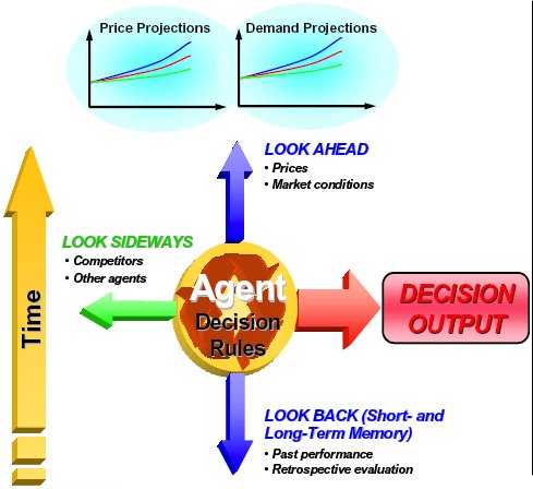 Complex adaptive system theory