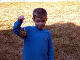 Homemade pine cone bird feeder