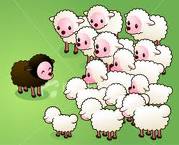 Black sheep