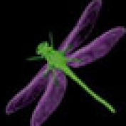 dragonfly2823 profile image