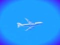 Tampa International Airport (TPA) Car Rental and Transportation