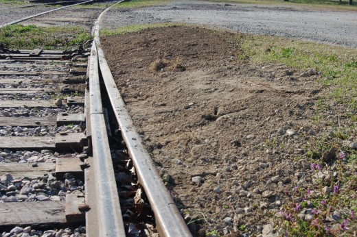 Pretty weather today, so I did some 'landscaping', aka filling in a large hole/eyesore.