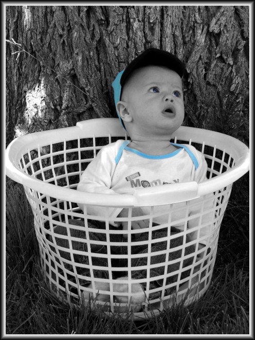 A Basket For A Prop! This Photograph Was Enhanced In Adobe Photoshop