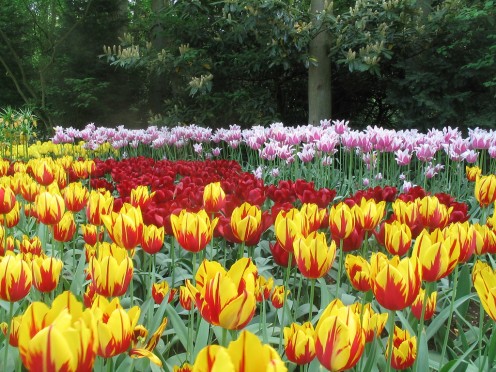 Keukenhof, Lisse, The Netherlands