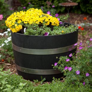 A whiskey barrel, like the one shown in this photo, makes a great springtime gardening project. There are a variety of attractive annuals and perennials that can be added to it a garden barrel.