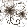 beckart profile image