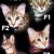 The various stages from ALC to SBT. The various stages from ALC to SBT.