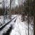 Fully suspended lines running over large valleys in the forest floor