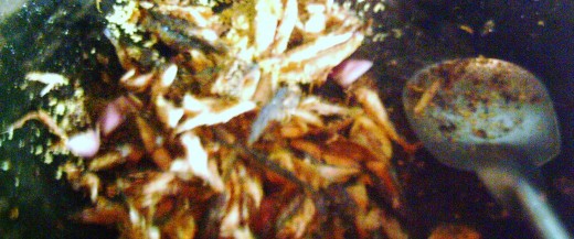 FRIED FISH (bones removed) mixed with onion, garlic, lemon grass, black pepper ) (All Photos by Travel Man)