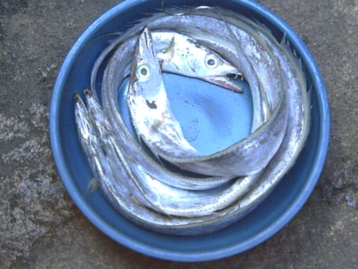 LANGKOY (All photos taken by; Travel Man -24March2011-except the dried fish)