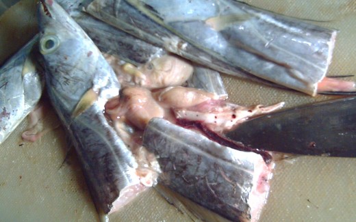 Cleaning the 'Langkoy' Fish