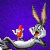 ceounlimited profile image