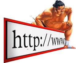 CYBER SQUATTING