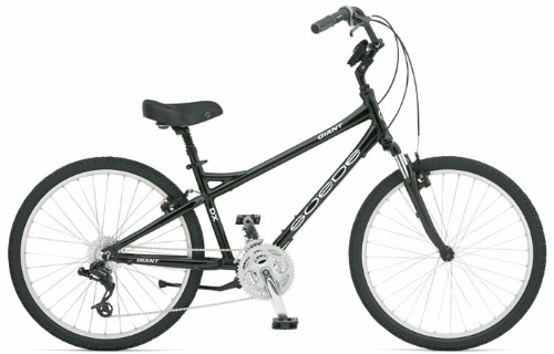 Comfort Bike