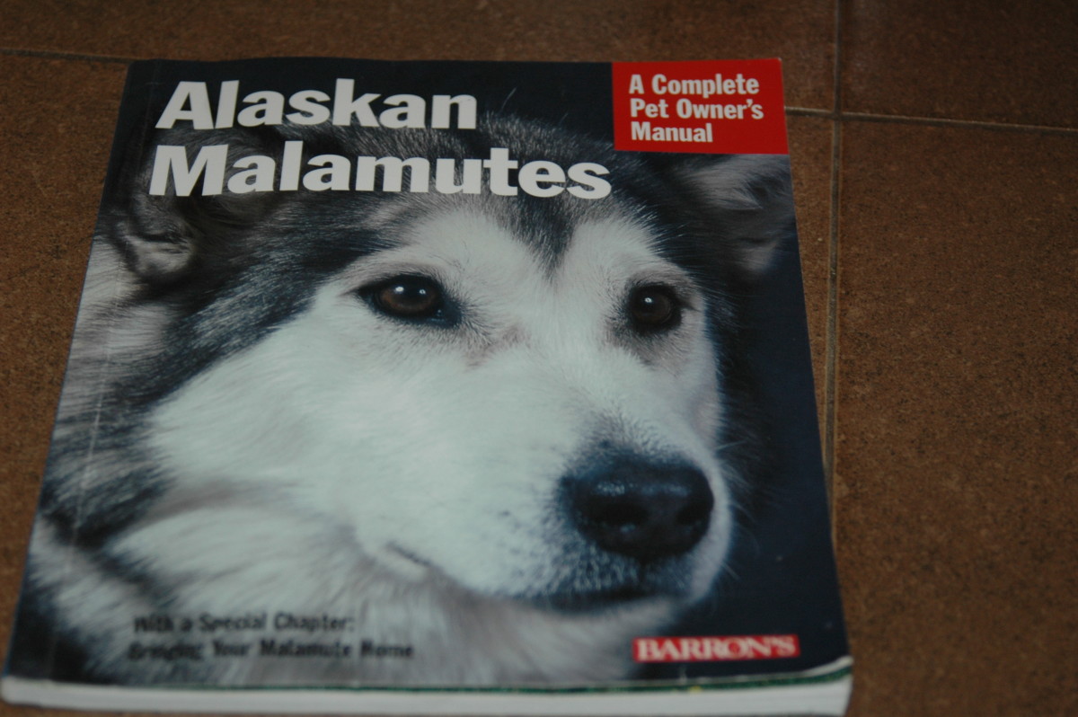 Alaskan Malamute Puppy Weight Chart