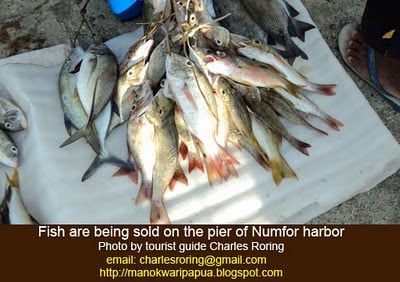 Numfor waters are abundant of fish
