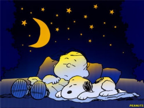 Even snoopy and Charlie Brown need their beauty rest.