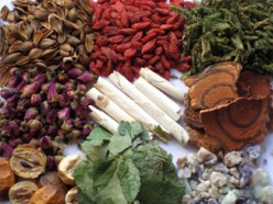 Chinese Herbal Identification Study Help