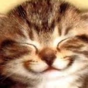 mightys profile image