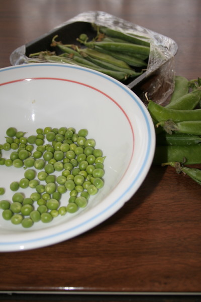 Fresh Garden Peas, Shelled and ready for the Pot