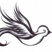 theivysparrow profile image