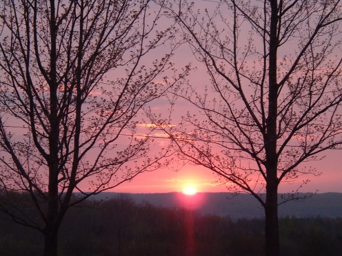 Without one key bit of information, how can you tell if the sun is rising or setting?