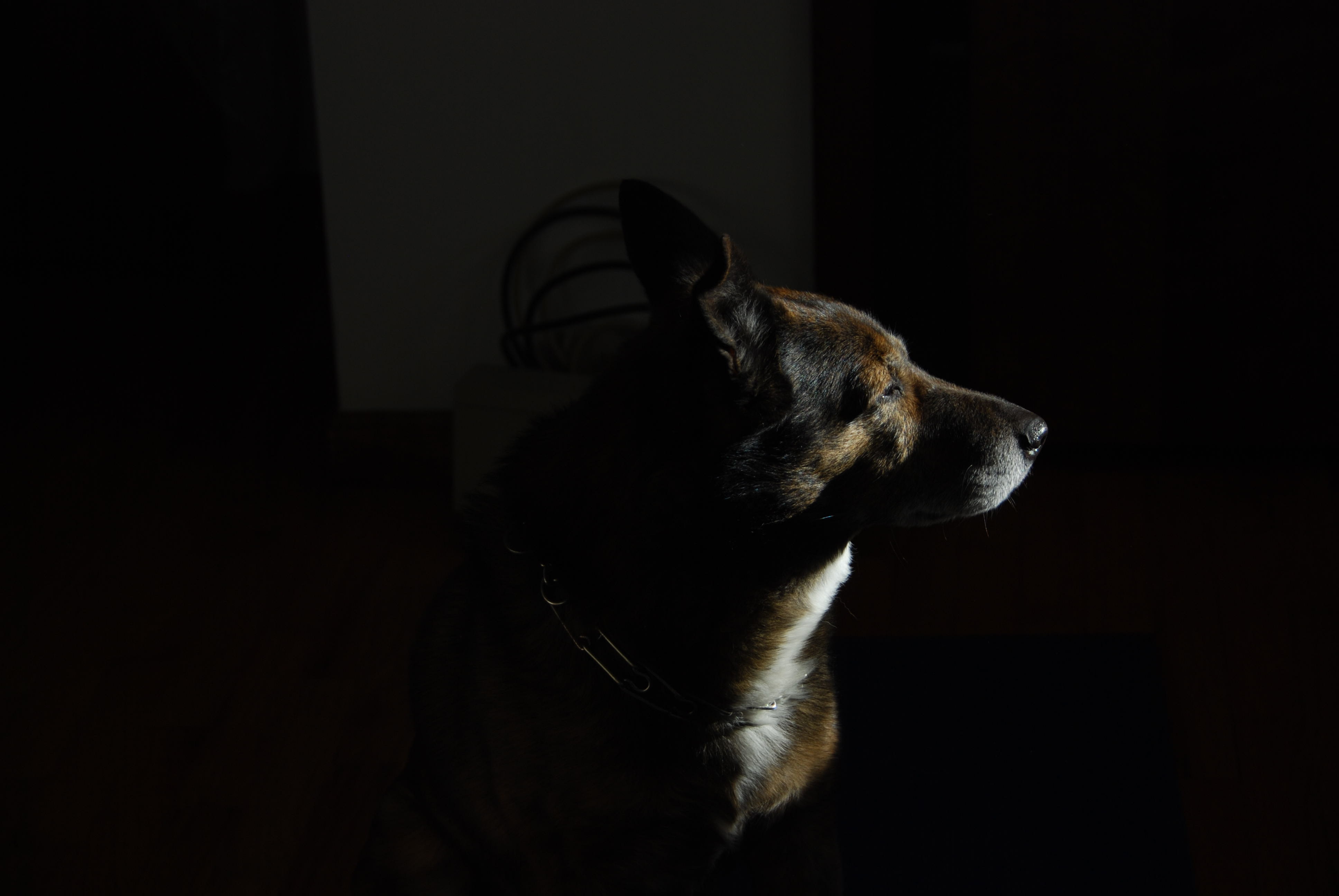 HubPages profile picture for @distractions