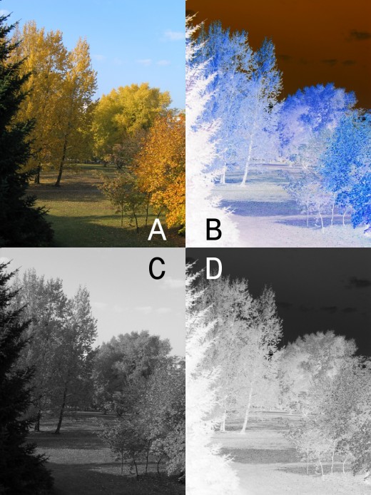 In a monochrome negative, what was white is black and what was black is white, but it's essentially the same image and we can recognize it by the contrast.