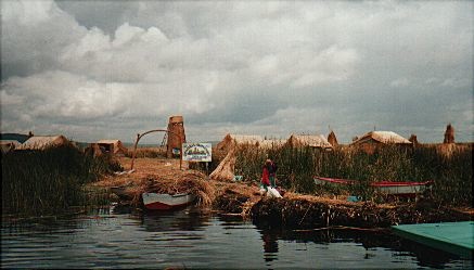 Approaching a reed island
